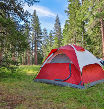 Nouveau camping financé : Camping Les Pins