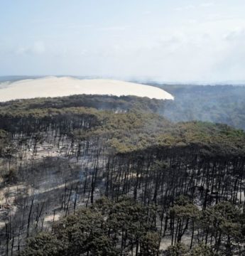 Incendie en gironde : 5 campings partis en fumée